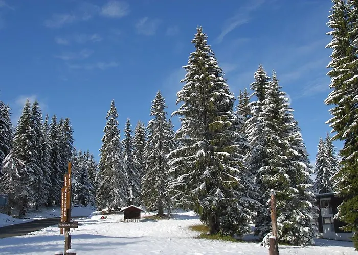 Hôtel Chalet Le Caribou